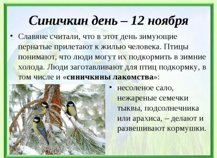 Синичкин день! Синичкин день!.